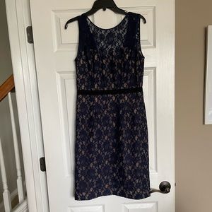 BCBG Navy and Nude Lace Dress